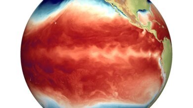 قد يؤدي الارتفاع السريع لظاهرة النينيو إلى حدوث اضطرابات جوية على مستوى الكوكب