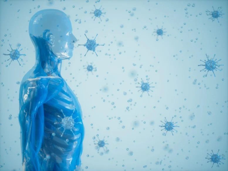 كشفت دراسة جديدة أن ممارسة التمارين الرياضية تعمل على تدريب الجهاز المناعي كشفت دراسة جديدة أن ممارسة التمارين الرياضية تعمل على تدريب الجهاز المناعي