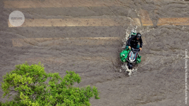 كيف تدفع الصين أبحاث الهبوط إلى الأمام