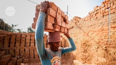 كيف يؤدي الاندفاع نحو المعادن المهمة إلى إهمال احتياجات الإنسان