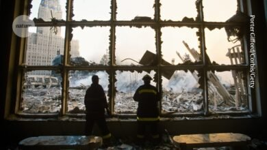 كيف يجد العلماء الذين يتعرضون لصدمات الآخرين الدعم؟