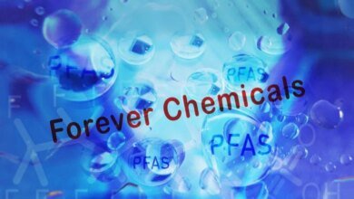 كيماويات فوريفر موجودة في 97% من الأطفال بحسب ما كشفته دراسة جديدة