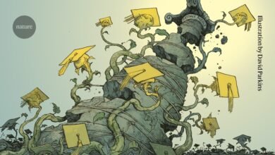 لإصلاح الجامعات يجب أولاً التعامل مع التصنيف العالمي