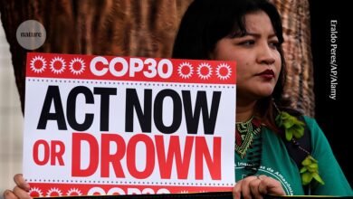 لماذا يتعين على قمة بيليم تعزيز العمل المناخي؟