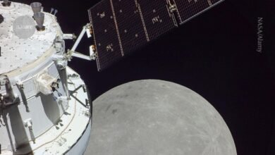 لماذا يحتاج استكشاف الفضاء إلى قيادة علمية الآن – قبل فوات الأوان