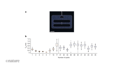 نظام المواد يعزز الكيوبتات فائقة التوصيل