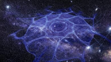 هل المادة المظلمة تسيطر عليها القوة الخامسة السرية؟