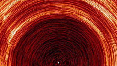 وأظهرت المركبة الشمسية المدارية لأول مرة حركة المجال المغناطيسي عند قطبي الشمس