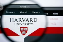 يتزايد ضرر الهجمات الإلكترونية على الجامعات، وكذلك تأثيرها على الأبحاث