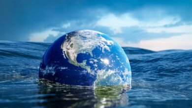 يحذر العلماء من أن إزالة الكربون في المحيطات قد تأتي بنتائج عكسية دون مراقبة أفضل