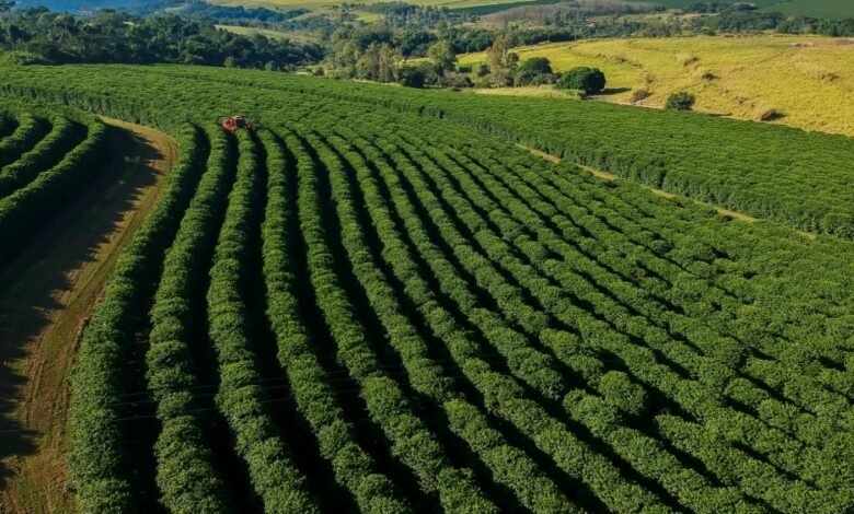 يحذر علماء الجيولوجيا من أن القهوة والشوكولاتة والنبيذ قد تختفي