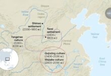 يقدم الحمض النووي القديم أدلة حول الاستيطان الغامض في عصور ما قبل التاريخ في الصين