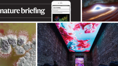 يقول التقرير إن العلم في المملكة المتحدة ينزف حتى الموت