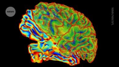 يقوم الذكاء الاصطناعي التسمية التوضيحية للعقل بفك تشفير نشاط الدماغ لتحويل الأفكار إلى نص