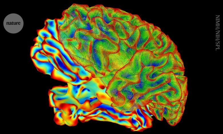 يقوم الذكاء الاصطناعي التسمية التوضيحية للعقل بفك تشفير نشاط الدماغ لتحويل الأفكار إلى نص