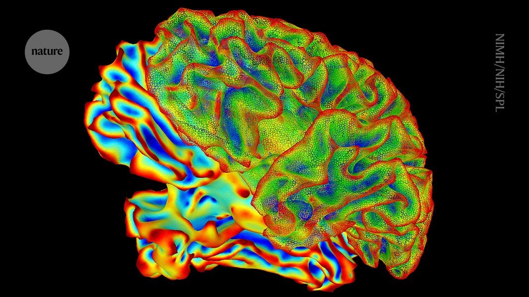 يقوم الذكاء الاصطناعي التسمية التوضيحية للعقل بفك تشفير نشاط الدماغ لتحويل الأفكار إلى نص