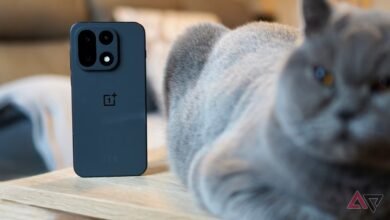 يمكن أن ينهي OnePlus 15 قبضة سامسونج الخانقة ولكن فقط إذا سمحت بذلك