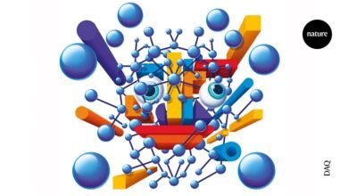 يمكن لمجموعة الذكاء الاصطناعي هذه أن تطلق العنان لذكاء بمستوى الإنسان