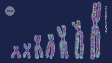 يوجد تنوع جيني واسع بين الخلايا في شخص واحد