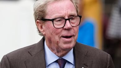 أتمنى أن يركض مثل جاريث بيل! هاري ريدناب على حصان السباق الذي يشبهه بـ Razor Ruddock و Stua Pearce ولماذا كانت جدته تتدلى في الجزء الخلفي من شاحنة الشرطة كل يوم