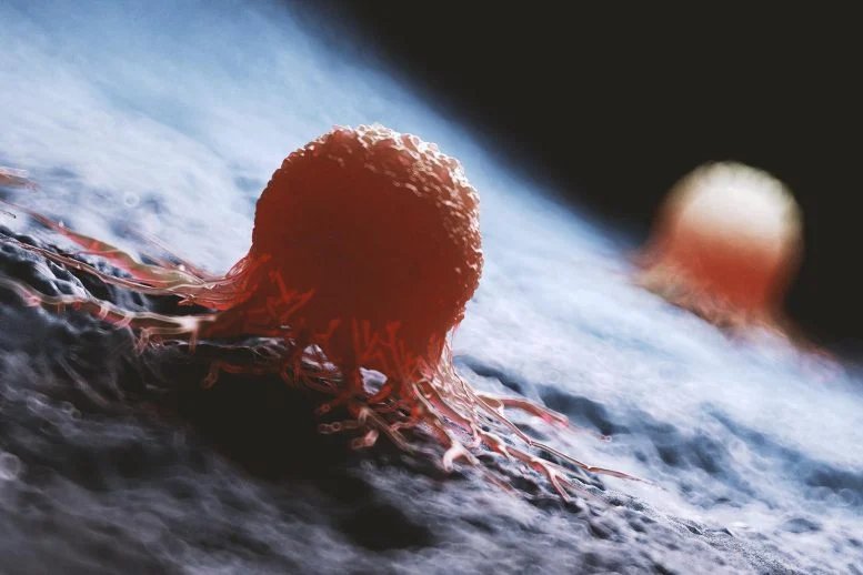 1767034434 382 Medically Accurate Cancer Cells Rendering