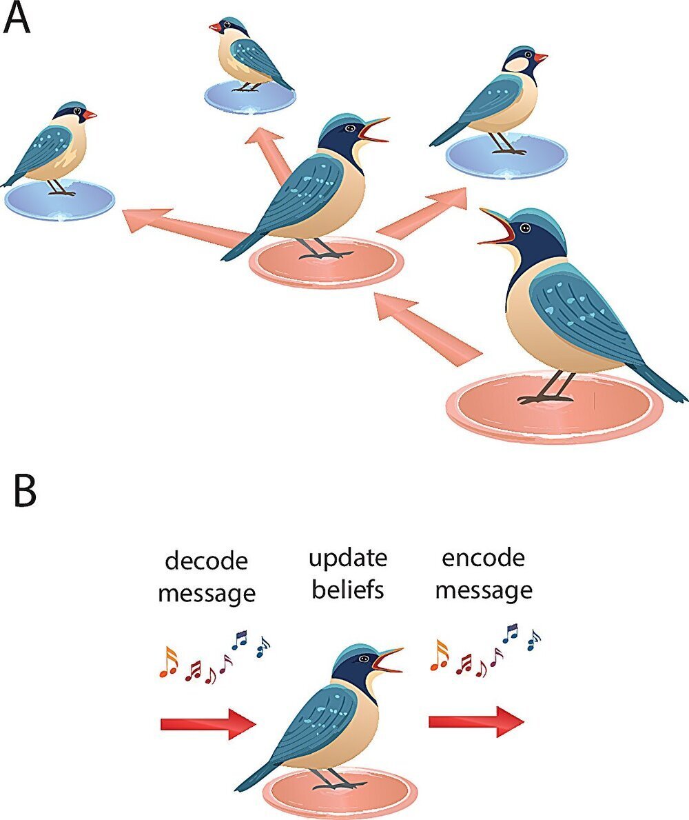 هناك معلومات خاطئة ليس فقط في الشبكات الاجتماعية، ولكن أيضًا في علم الأحياء لقد اكتشف العلماء ذلك هناك معلومات خاطئة ليس فقط في الشبكات الاجتماعية، ولكن أيضًا في علم الأحياء لقد اكتشف العلماء ذلك