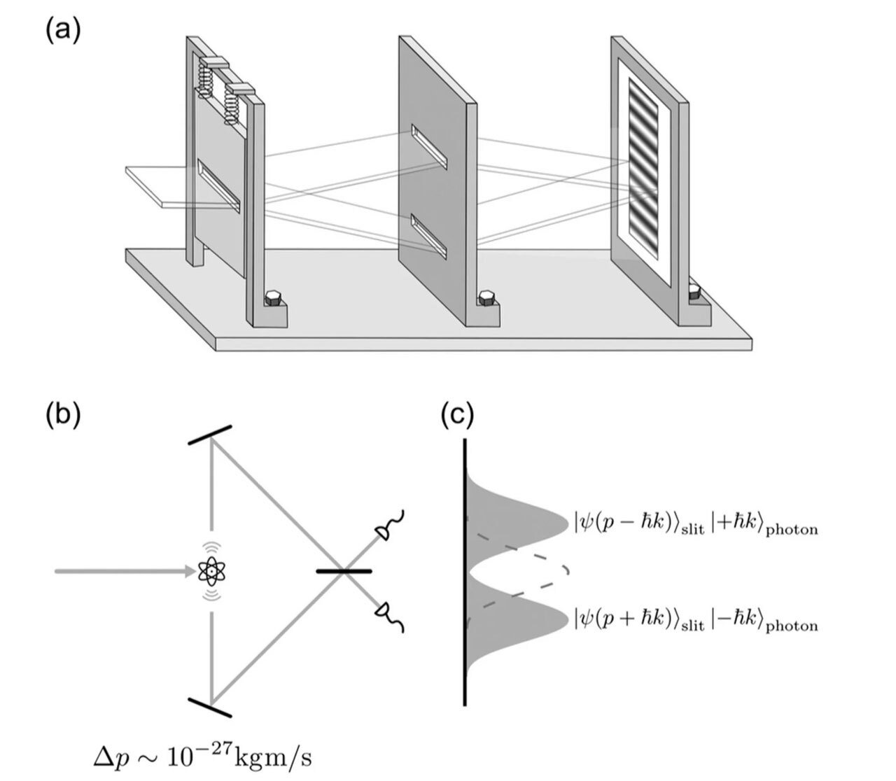 لقد وضع الفيزيائيون الصينيون حدًا للنزاع القديم بين أينشتاين وبور