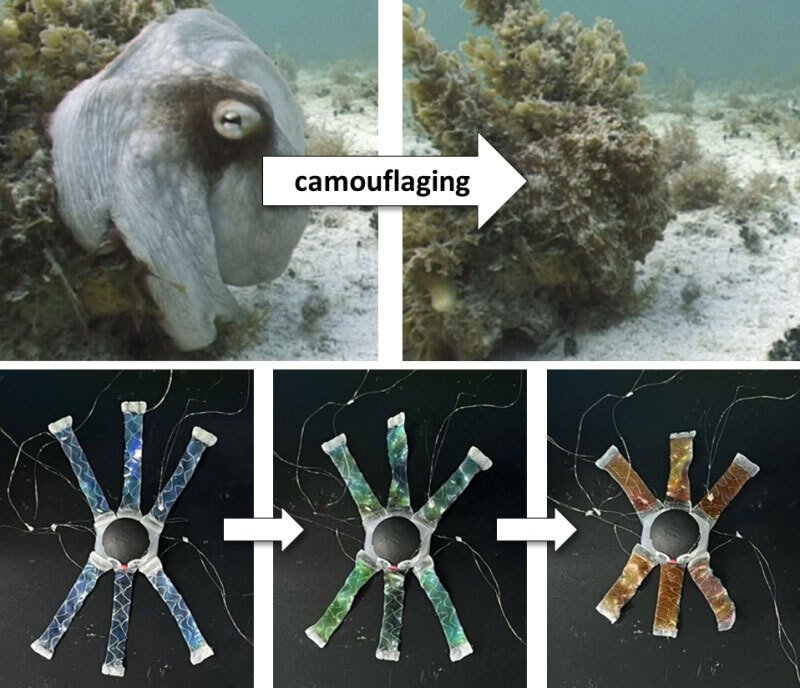 تم إنشاء روبوت أخطبوط يمكنه تغيير اللون