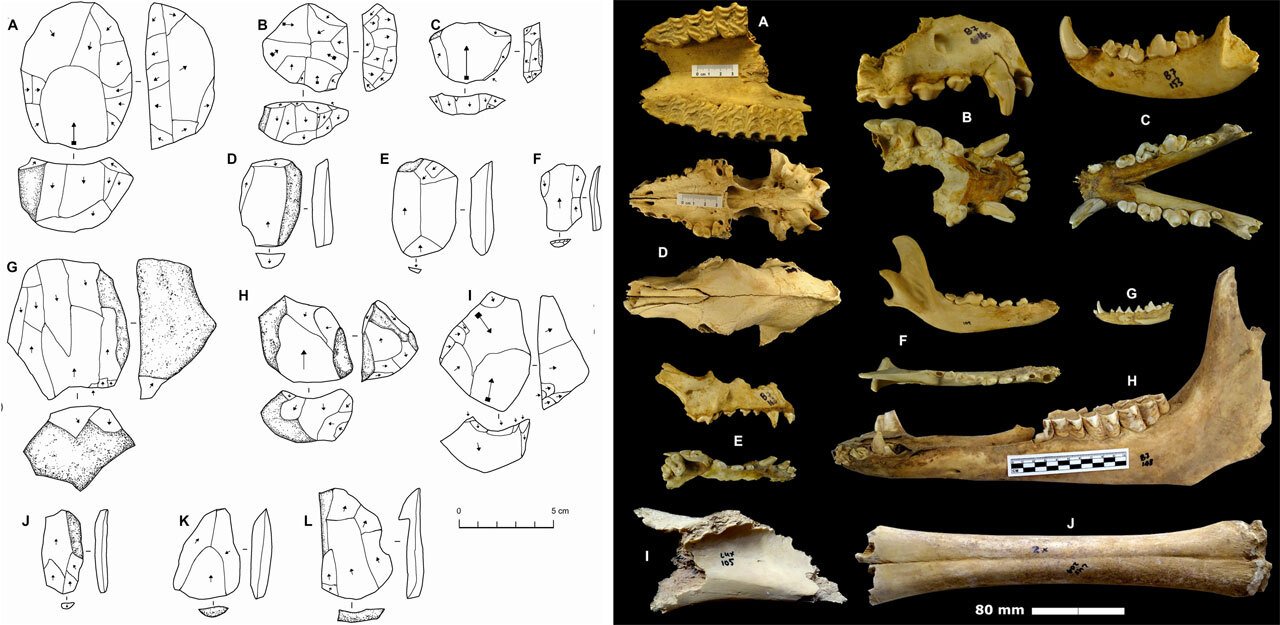 عثر علماء الآثار على مئات القطع الأثرية للإنسان القديم بالقرب من الكهوف في صحاري الجزيرة العربية