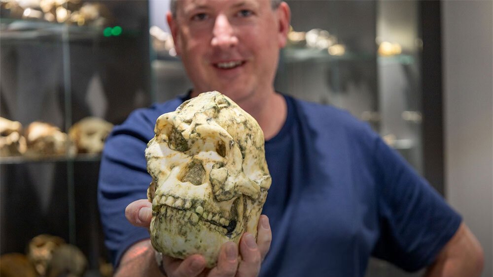 يمكن أن ينتمي الهيكل العظمي الأكثر اكتمالا للأسترالوبيثكس إلى سلف بشري غير معروف يمكن أن ينتمي الهيكل العظمي الأكثر اكتمالا للأسترالوبيثكس إلى سلف بشري غير معروف