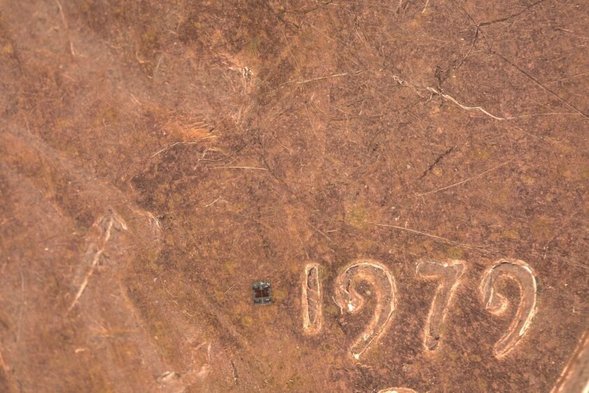 ابتكر المهندسون الحيويون أصغر روبوتات مستقلة في العالم 1 6f41de17a31de33e0d6d54f5c54da0639a334826