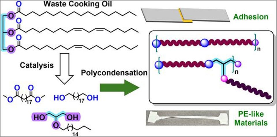 يستخدم الزيت النباتي لصنع مادة لاصقة قوية للغاية 2 726b6da3b5bd1b31047f848367c63288eb282161