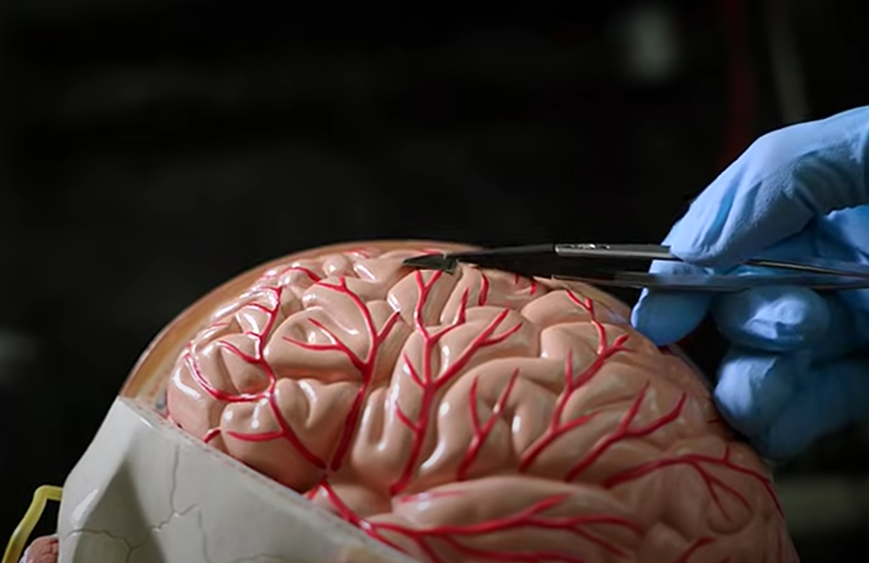 رقاقة جديدة تحول الدماغ إلى واجهة كمبيوتر فائقة السرعة