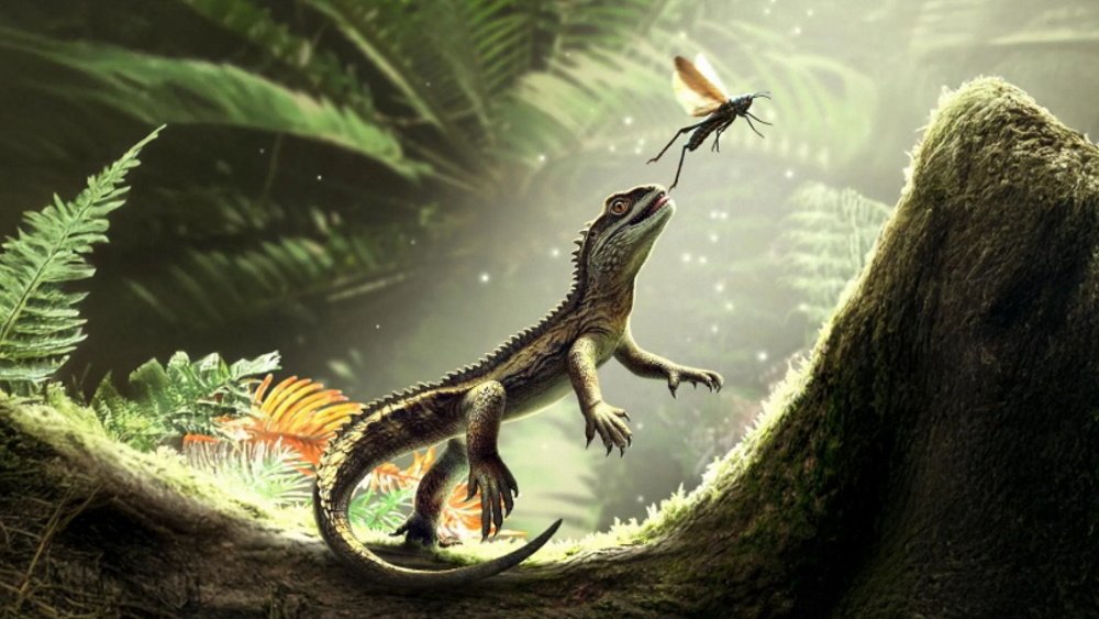 اكتشاف سلف سحلية عمره 242 مليون سنة بأسنان “شفرية”