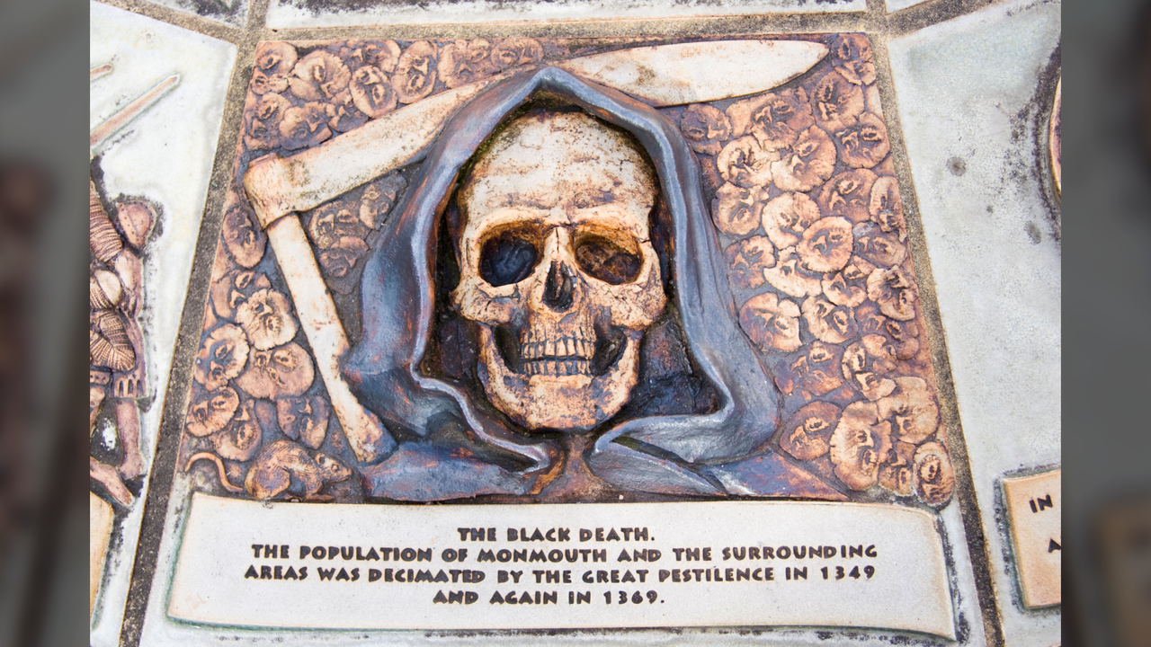 وجد الباحثون أن الانفجار البركاني تسبب في “تأثير الفراشة” الذي أدى إلى الموت الأسود