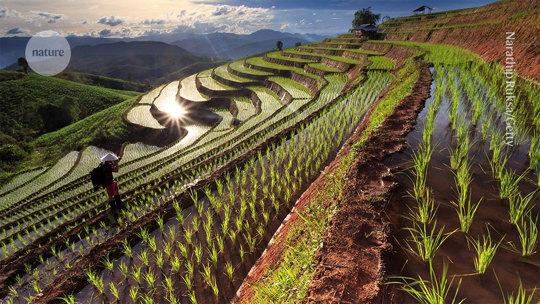 Food will be more affordable — if we double funds for agriculture research now Food will be more affordable — if we double funds for agriculture research now