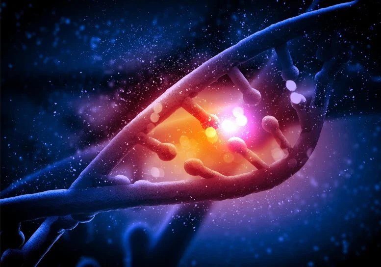 اكتشف العلماء كائنًا حيًا يكسر القاعدة الذهبية لعلم الأحياء 1 Genetics Breakthrough DNA Concept