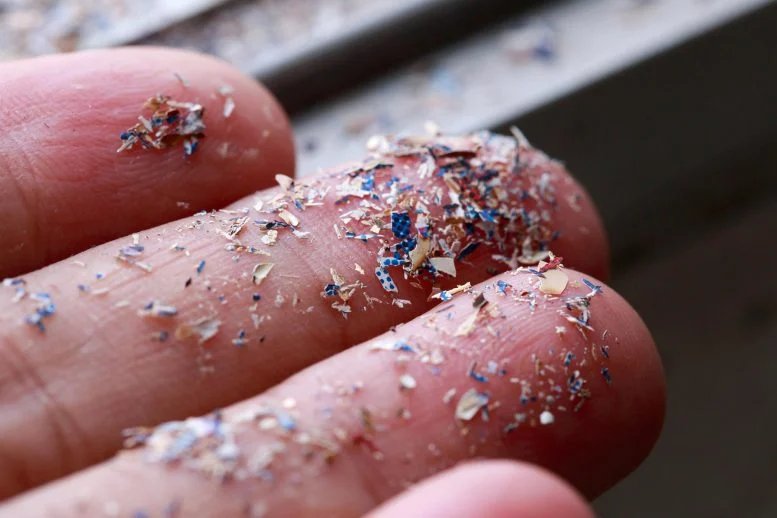 يطور العلماء مواد بلاستيكية جديدة تتفكك بشكل آمن بدلاً من تلويثها 1 Microplastic Particles on Fingers
