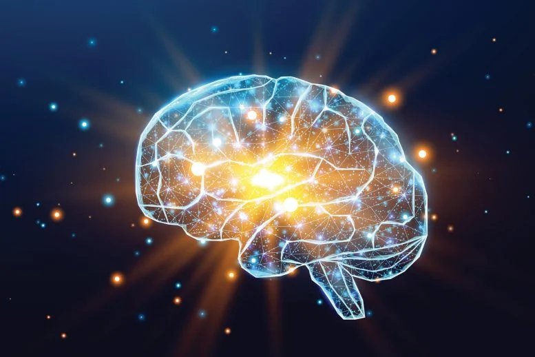 جزيء طبيعي يُظهر قوة مذهلة ضد مرض الزهايمر جزيء طبيعي يُظهر قوة مذهلة ضد مرض الزهايمر