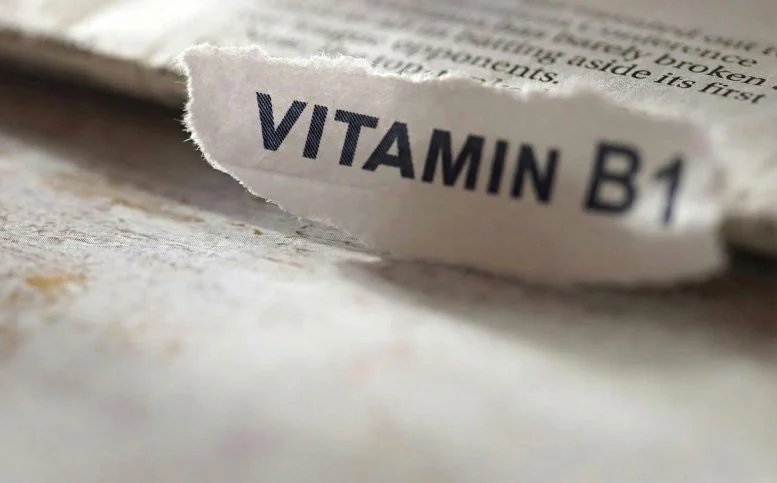 Paper Vitamin B1