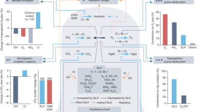 influence of sholived halogens on atmospheric chemistry and climate