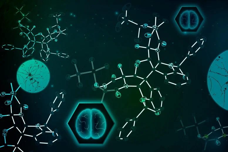بعد 50 عامًا، نجح الكيميائيون في معهد ماساتشوستس للتكنولوجيا أخيرًا في تصنيع مركب مضاد للسرطان بعيد المنال بعد 50 عامًا، نجح الكيميائيون في معهد ماساتشوستس للتكنولوجيا أخيرًا في تصنيع مركب مضاد للسرطان بعيد المنال