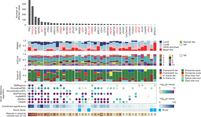 Whole-genome landscapes of 1,364 breast cancers Whole-genome landscapes of 1,364 breast cancers