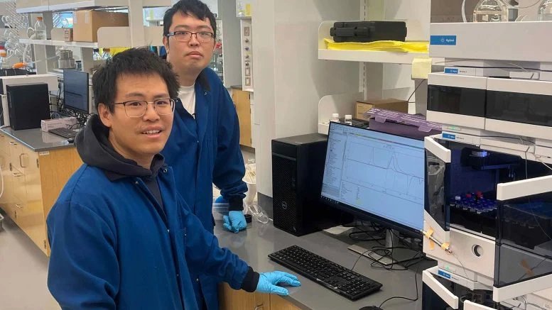 يطور العلماء مواد بلاستيكية جديدة تتفكك بشكل آمن بدلاً من تلويثها 3 Yuwei Gu and Shaozheng Yin