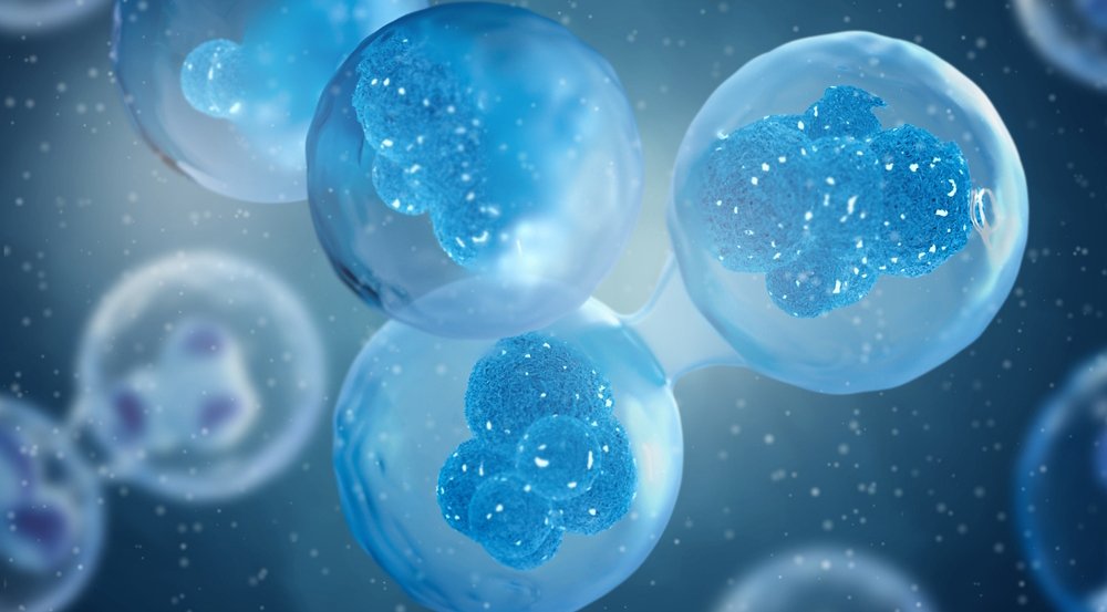 نجح العلماء في تسريع محطات الطاقة في الخلايا بحيث تحرق المزيد من السعرات الحرارية