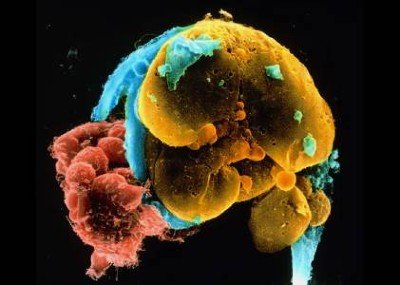 ما يكشفه التحول عن العلم وأنفسنا 2 d41586 025 03913 9 24005000