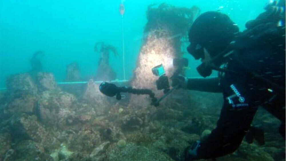 عثر الغواصون الأثريون على جدار قديم تحت الماء قبالة سواحل فرنسا عثر الغواصون الأثريون على جدار قديم تحت الماء قبالة سواحل فرنسا