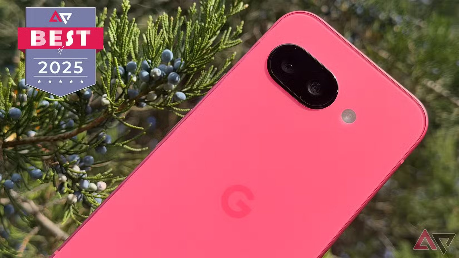 Android Police best of 2025 awards 3 google pixel 9a against juniper berries