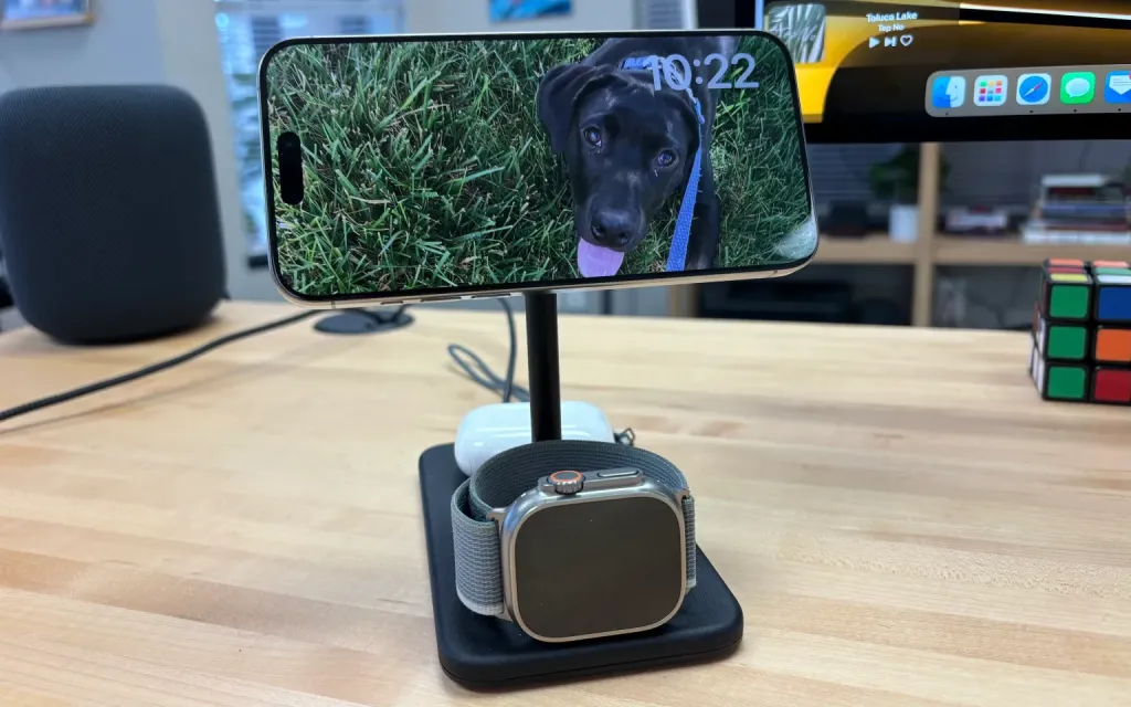 twelve south hirise 1.webp