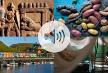 أبرز أحداث بودكاست الطبيعة لعام 2025